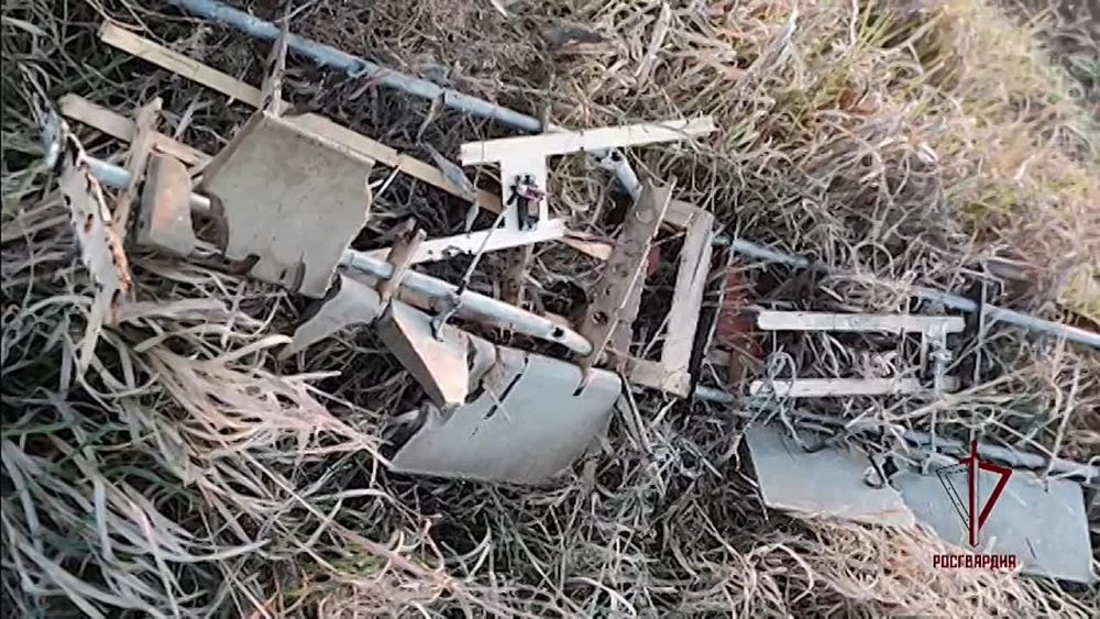 ������������ ���������� 15 ������� ������ ��� � ���������� ����������� ��������