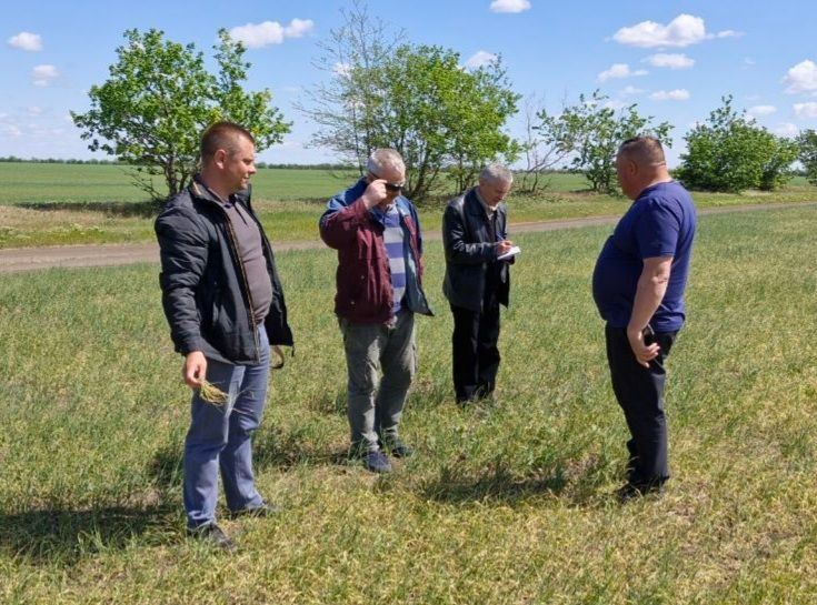 � ���������� ������������� ������ ���������� �������� ������������ �������