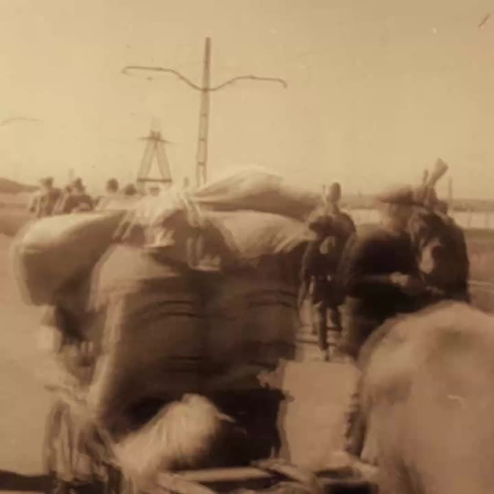 ����� ���� ����������� ������� ��������� ����� ������������ �����