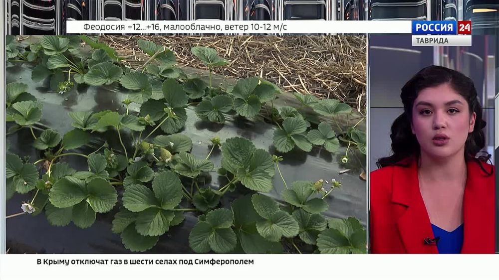 �������� �� �������� � ���������� ������ ��������� �� ������������