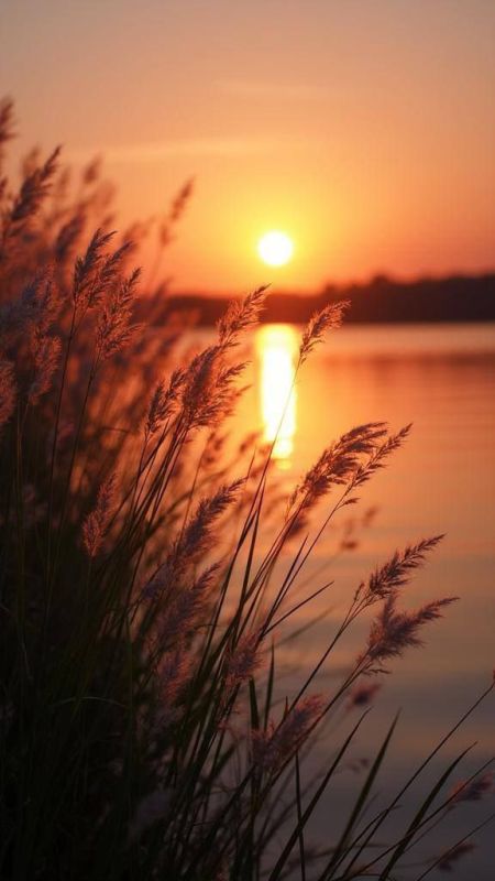 ������� �������: �� ����� ����� �������� �����