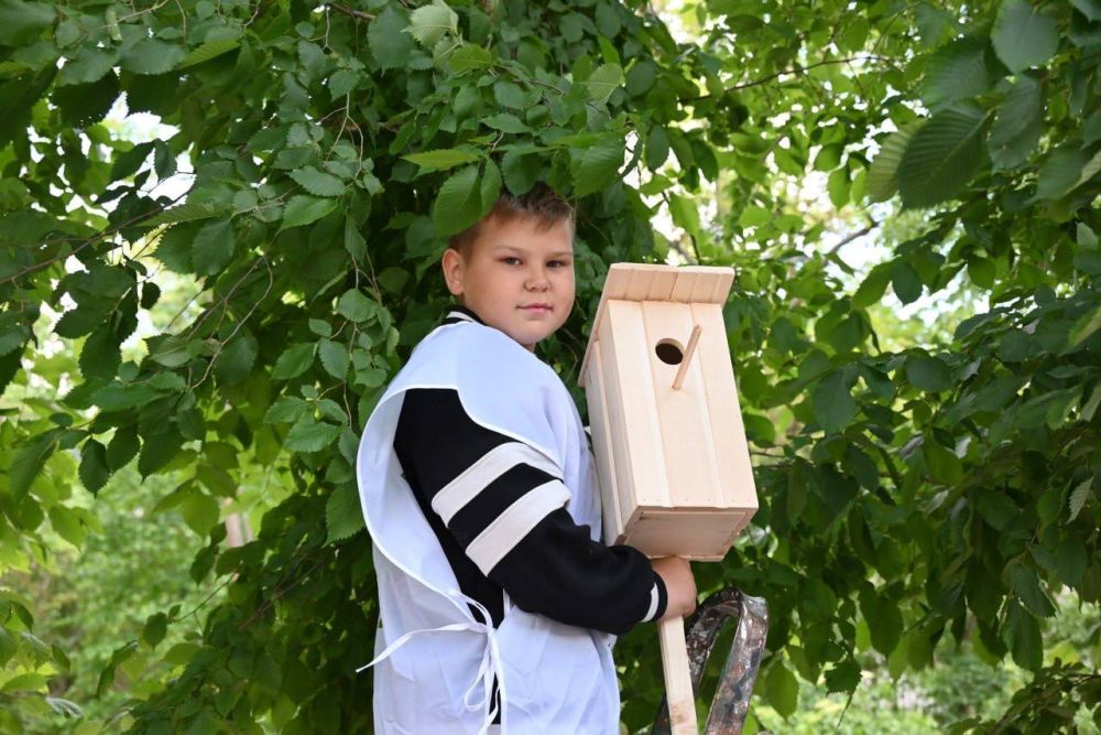 ����������� ��� ���������� ���� ��������� � ��������-����