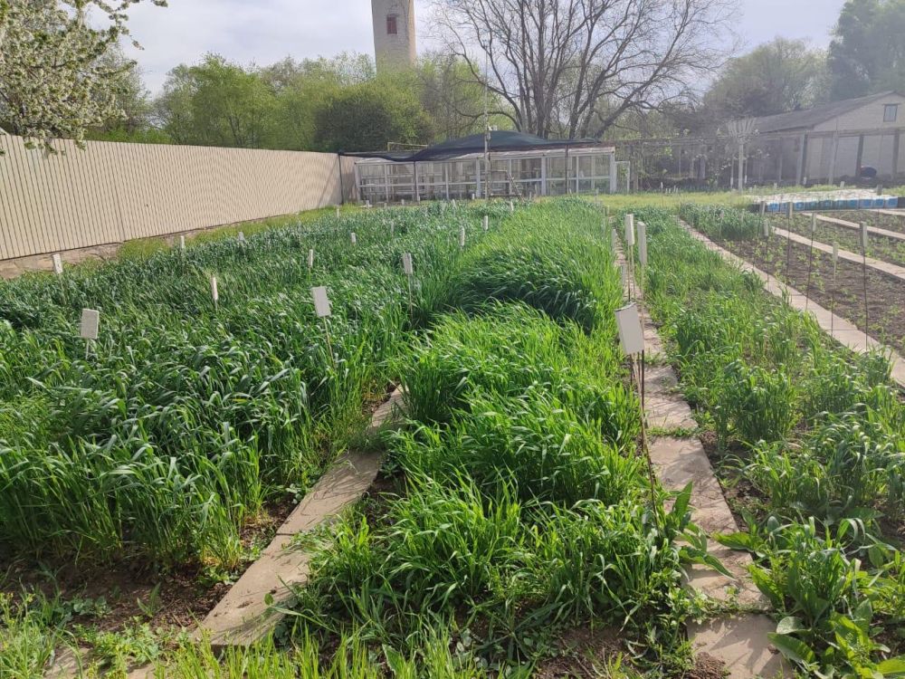 � ���������� ������� ������� ���� ���� �������