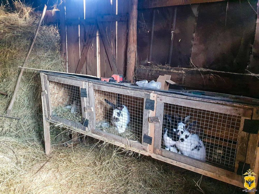 � ������������ ������ ����������� ��������� �������������� � ����� ���������� �������� � ������� ����������