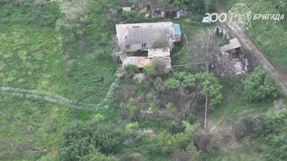 "���������" vs ���������� ������