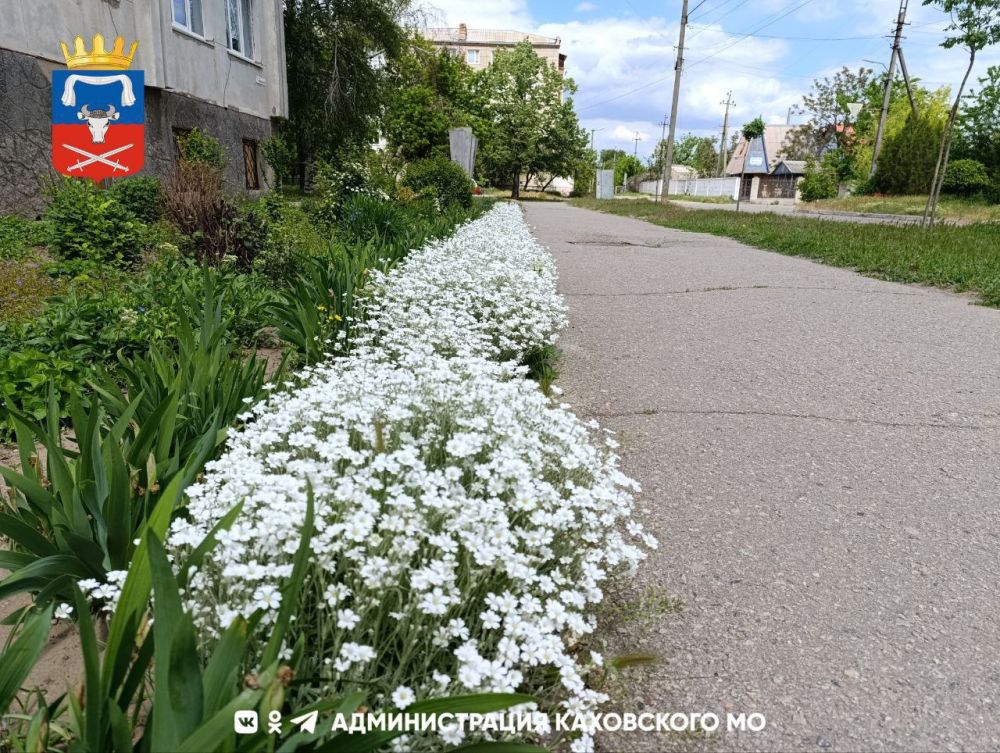 ������ ����, ������ ���������� �������������� ������!