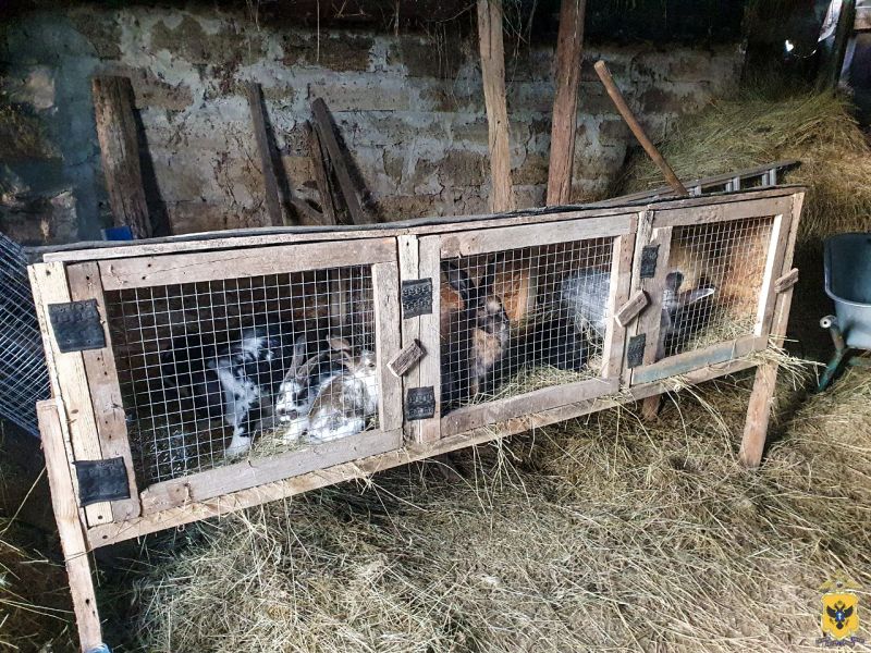 � ������������ ������ ����������� ��������� �������������� � ����� ���������� �������� � ������� ����������