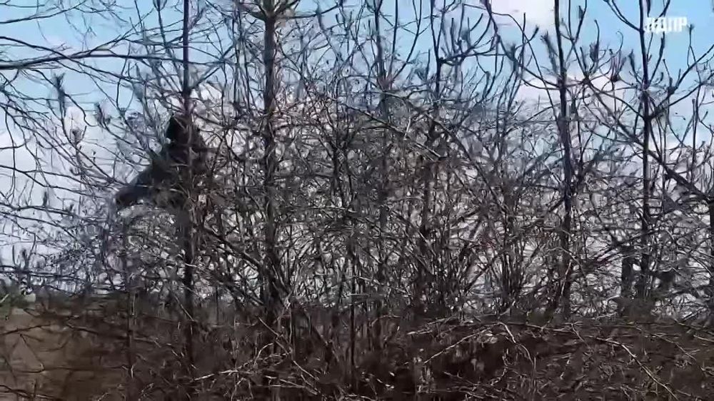 ������, ������� ����, ��� ��� ������ ������� � ����� ������ �� ������� ����������!