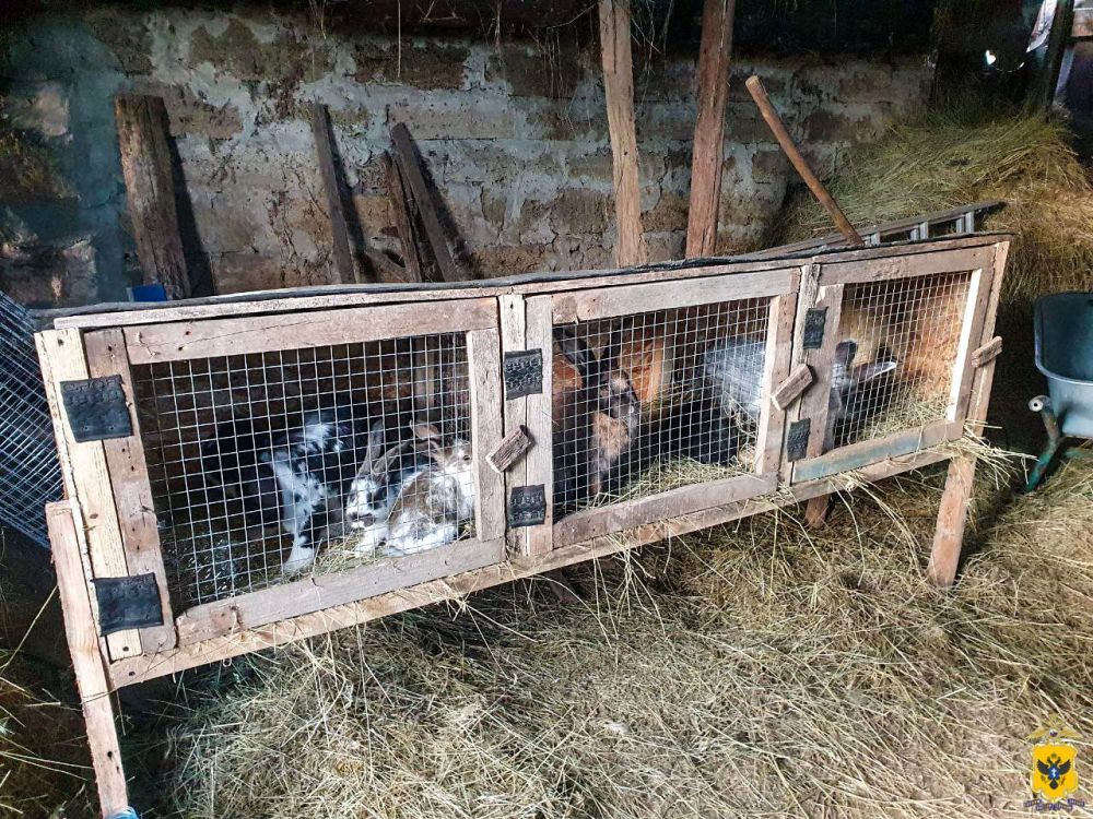 ������ ������������� ������ ������ �� ���� ��� ������� ������� �� ����� ���������� ��������