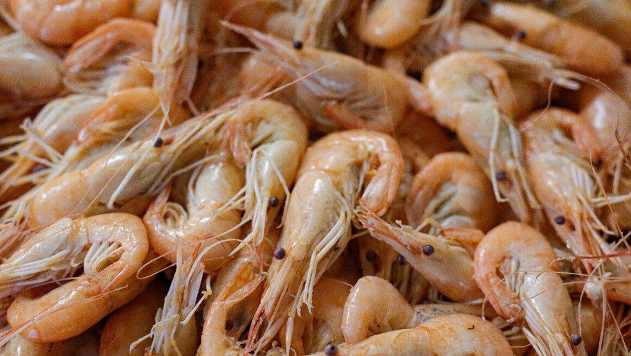 � ������ ������� �������� �� ����������� �������� � ����� ��� ��������� ����