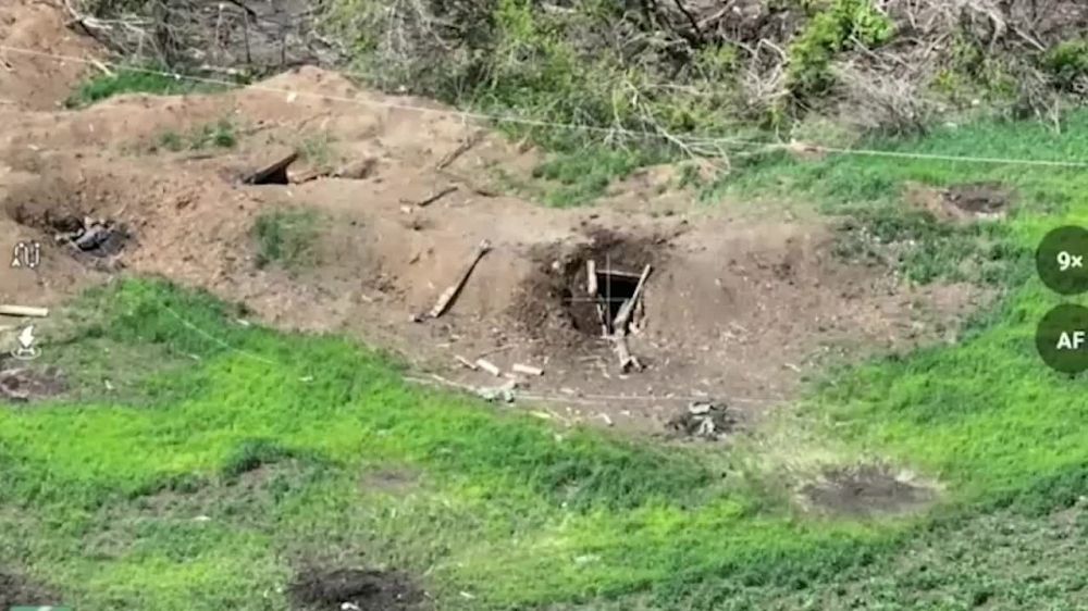 ������� FPV-������ ������ ������� ���