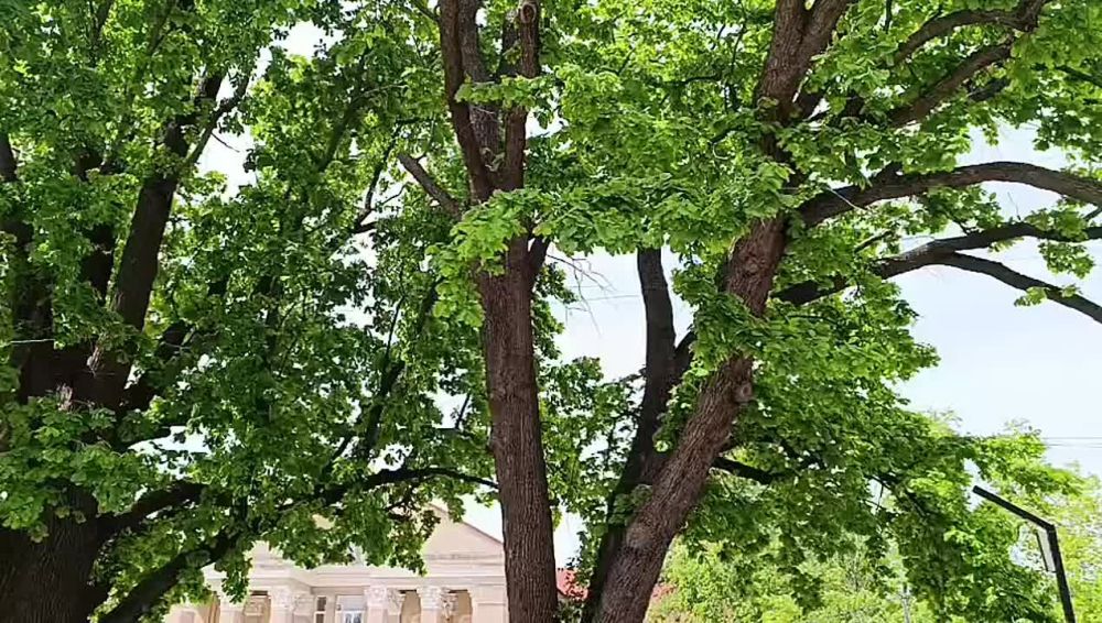 ������� ���� ����� � ��������