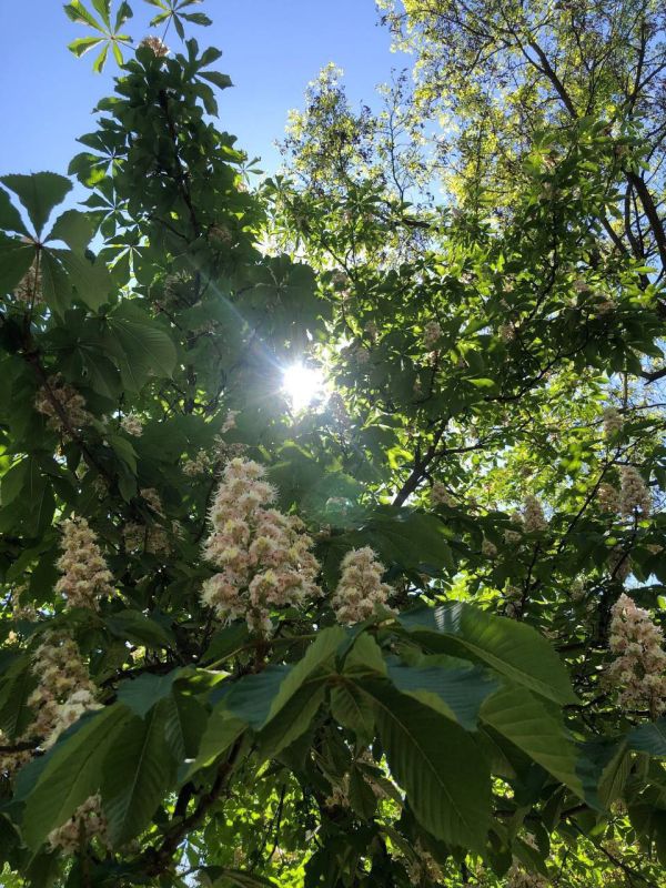 �����, ����� �� �����, �������� ������!