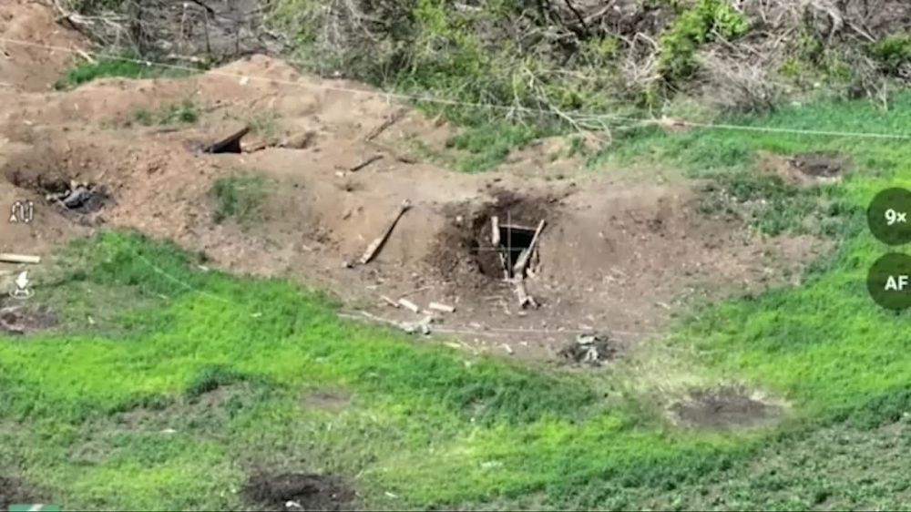 ������� FPV-������ ������ ������� ���