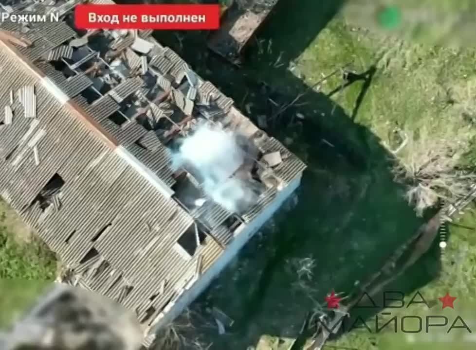 ��� ������: ���������� �����������. ����, ������� �� �������� ������, ������������� � ������� ��������� ������, �������� �� �����