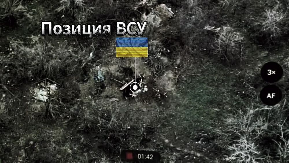 ��� ���� �������� ���� ��� ��������� ������������