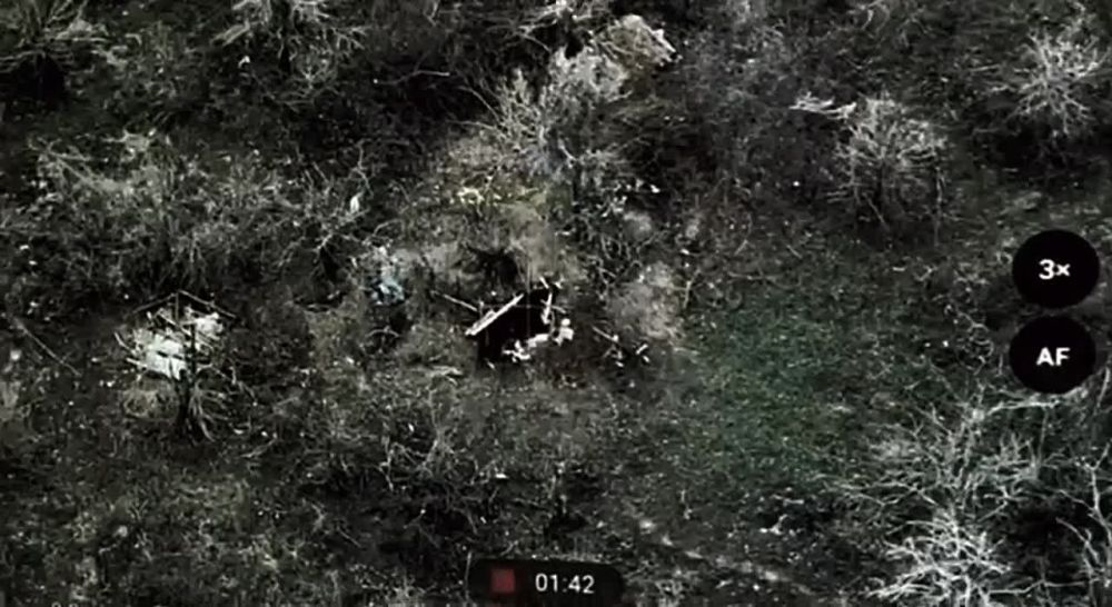 ���� ����� �������� ������� ��� � �����! ׸������, ������������ - ��������� ����� � �������, ��� ������!