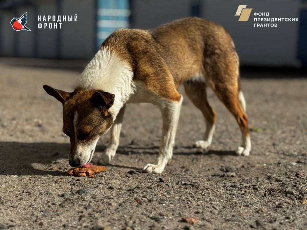 �������� ��������� ������ ��������� � ������������ �������