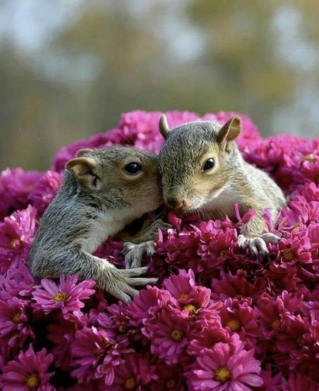 . �� ������������� ����� ����� , ���������� ����� , ��� ������