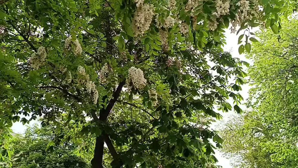 ��������� �������� ������� (��, ������ ����� ������� �������� ����� ��������� ��� ������ ������) � ������ ������������ �� �������� � ��������� �� ����� ������� ��������