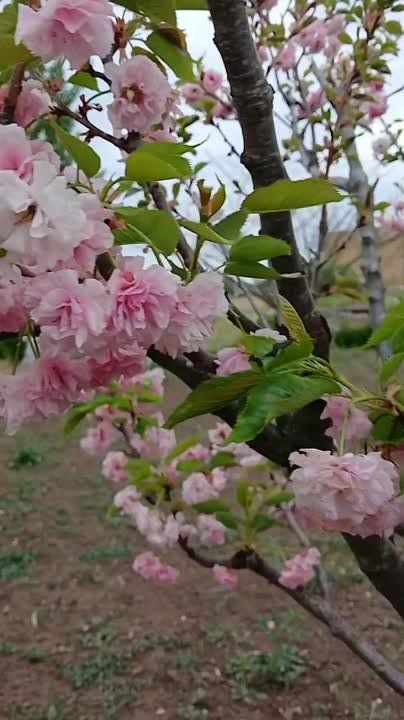 �������� ���������� ���. ����� ���������� � ��� � ��� ����� ���� ����� � �����! �� �����, ����� ������ �����! ������ ������! ��������, ������, ������, ������! ���������� ���� ���������� ������ ���������� � ���� ���������...