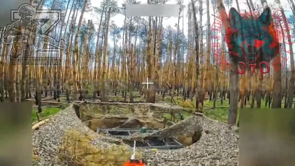 ����� 16 ��� ��� ����� ����������, ����������, � ���������� ��� "����" �� �����, ��� ��� � � �������� ��������� ��-�� � ������ �������� �������