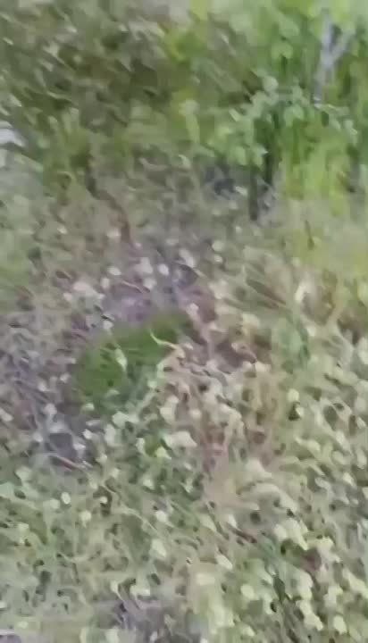 ��� ������ ������ ����� ������� ������� ���������