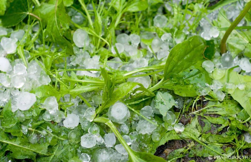 ������ �� ����� ����������� ������