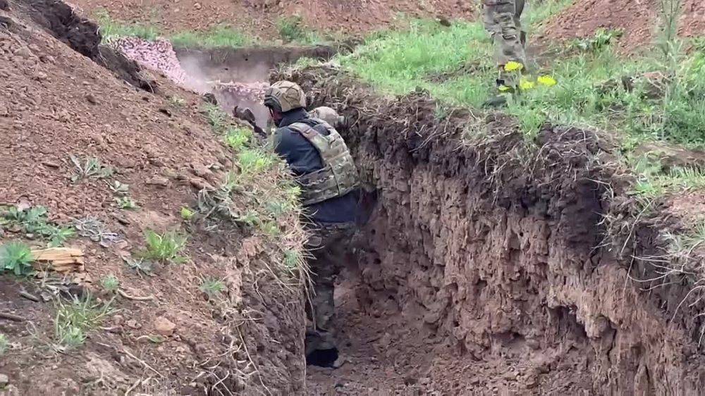 ������ ������������: ������ � ������ ���������� ������������ � ������ ���������� �� ������������� ��������