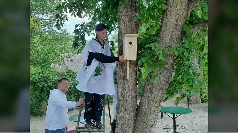 ������ ����� � �������-����!