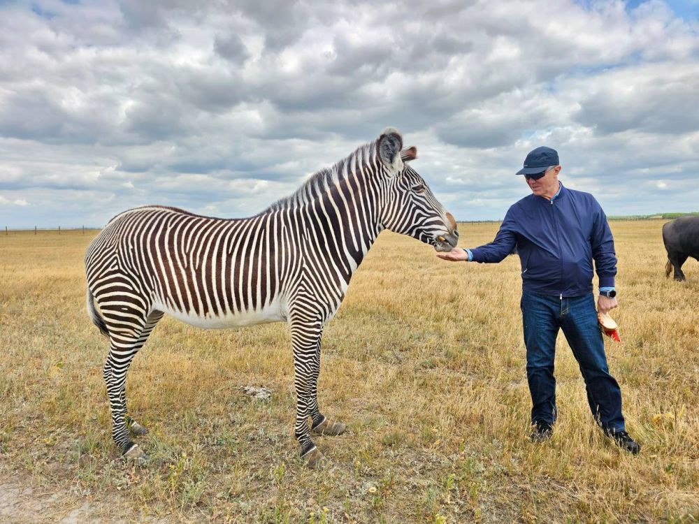 �������� ������: �������-���� � ���������� �����, ��� � ���������� ���������� ����� ���������� ������� �������� � ����� �� ����� �����