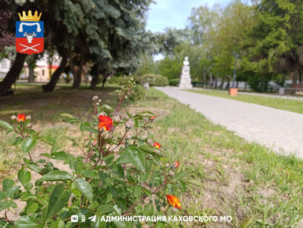 ������ ����, ������ ���������� �������������� ������!