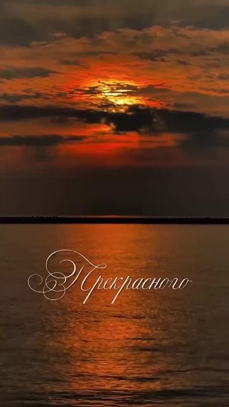 � ����� ���� ���� ������ �����