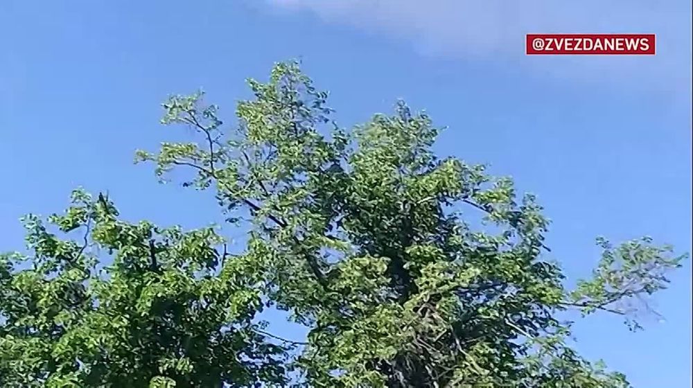 �� ������� ��� � ������ �������������� ������ �������� � ������ "����" ������ �� ������ ���������