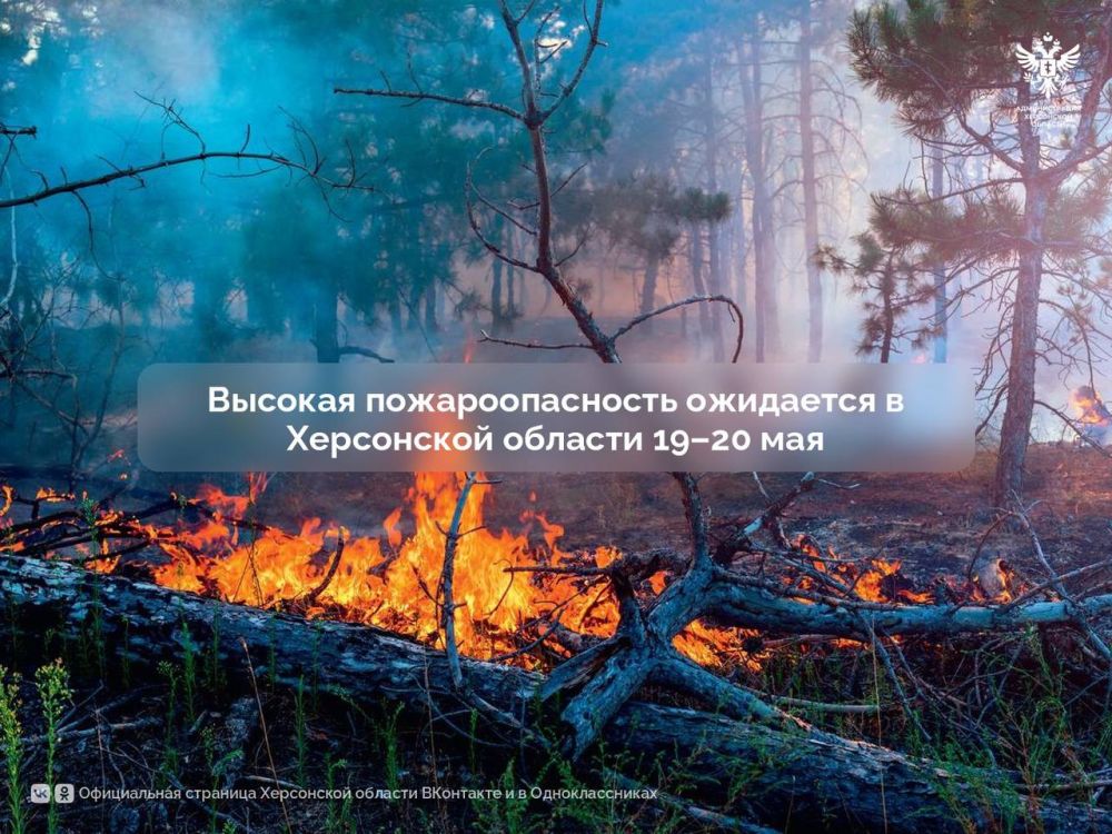 ������� ��������������� ��������� � ���������� ������� 19�20 ���