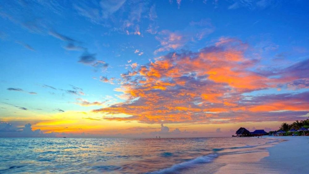 ����� ����������: � ������ ����� � �������� �����������!