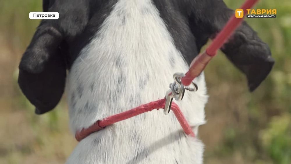 ��������� �� �������� ��������� � ���������������� "������" ��������� ����������� ����� �������� ���� � �������