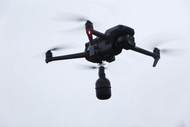 �����-����������� ����������� �������� �� ������� ���: ������ �������� ��� ����������������