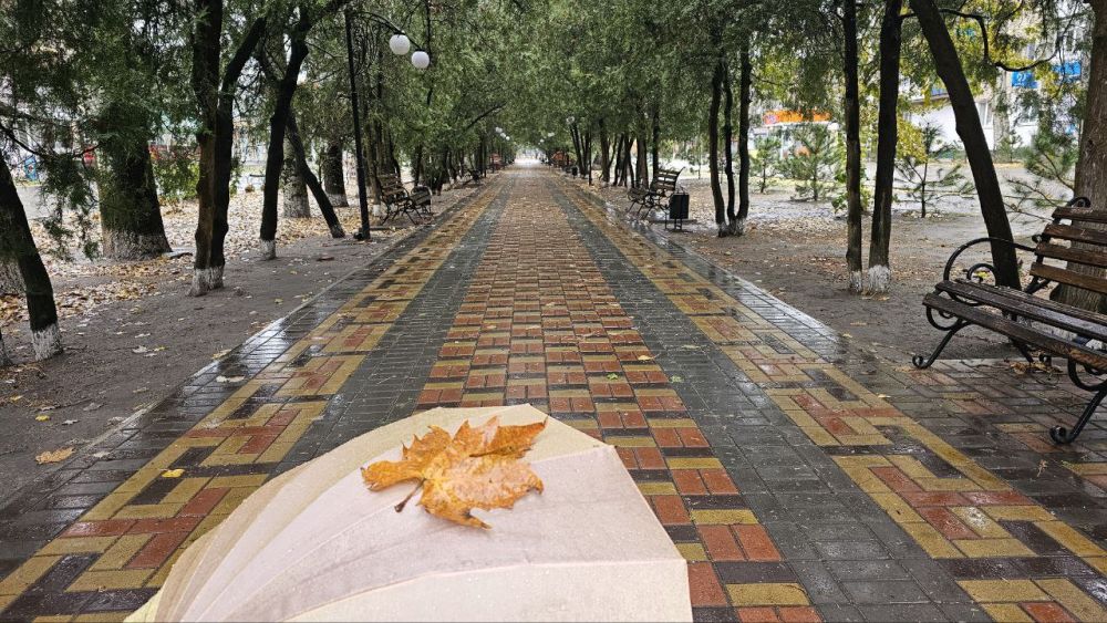 ���������� ������� 19 ��� ������� �����