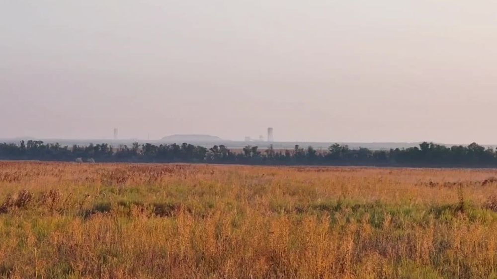 ���� �� �������: ������ �������� ������ ����� �������