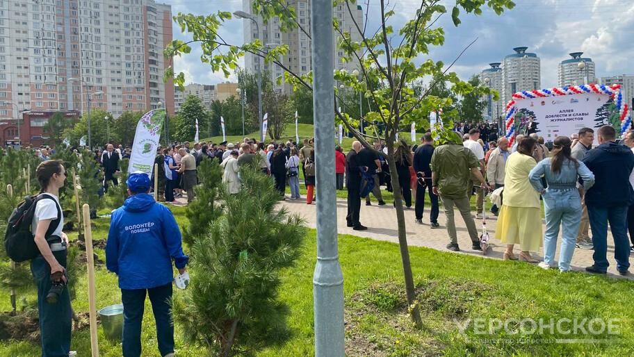 ������ �������� �� ������: ��� � ������ ������� ������� ������ ������� �����������