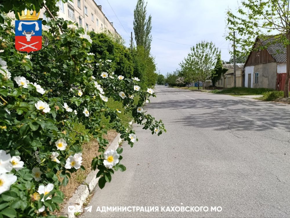 ������ ����, ������ ���������� �������������� ������!