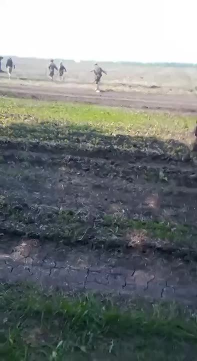 ���� "���������" � ������������ "�������" � �������� ��������� ������