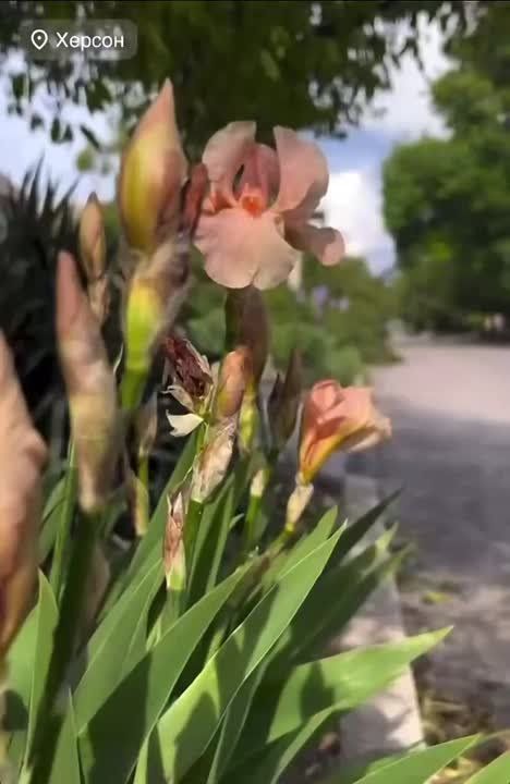 ������ ����, ��������!. ��������� �� ������.��