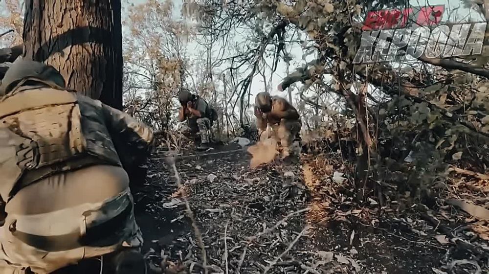 ���� �� �������: ������ 120-�� �������� �������������� ����������� ��������� ������ ���� ��� �� ���������� ����������� � ���� ���������� ����������� ������� ��������