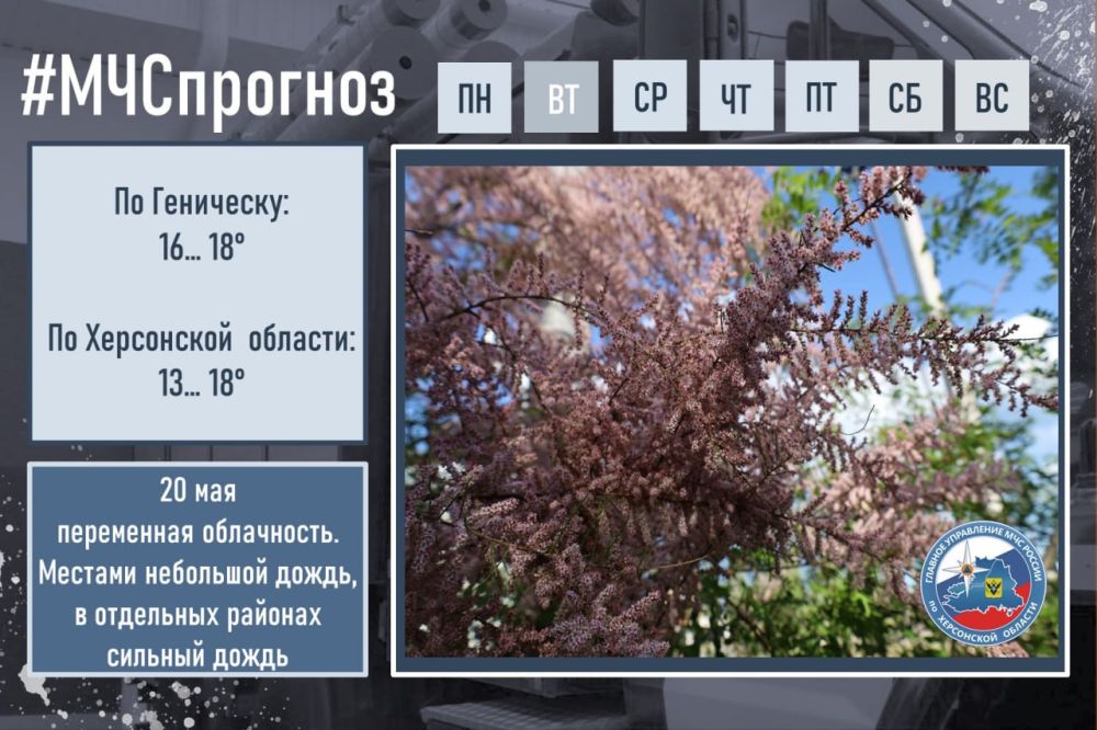 #����������. ��� � ������ �������� ���������: