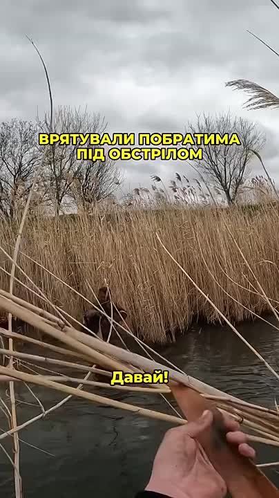 Короткое видео от противника о бегстве украинских военнослужащих с Днепровских островов