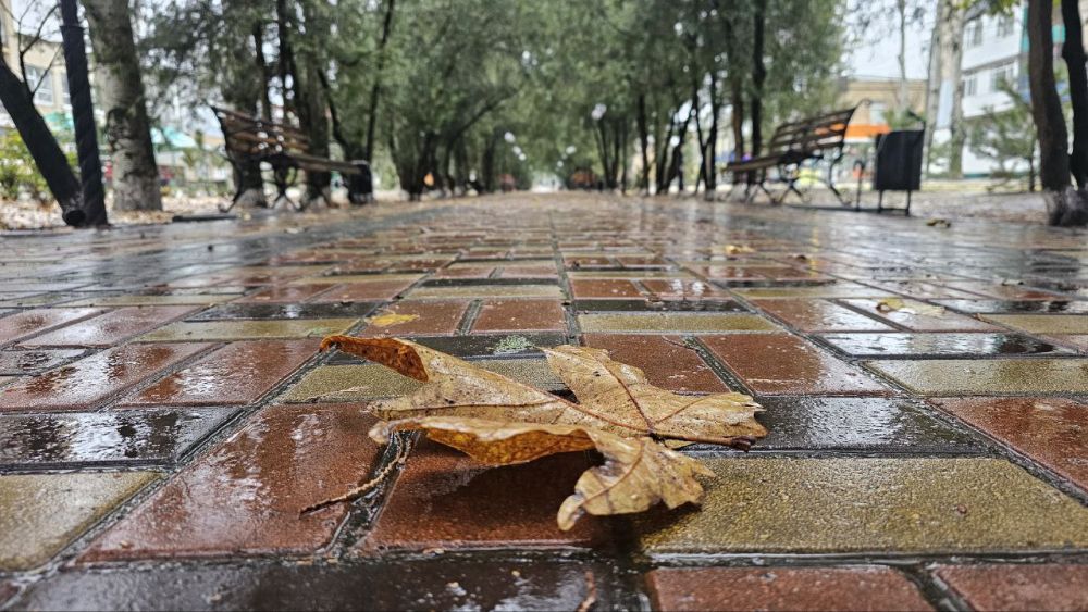 � ���������� ������������� ������ 20 ��� ����� �������� � ��������