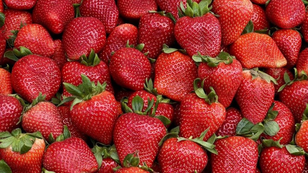 ���������������� ��������� ������� ���������� �������, ��� ���������� ��������