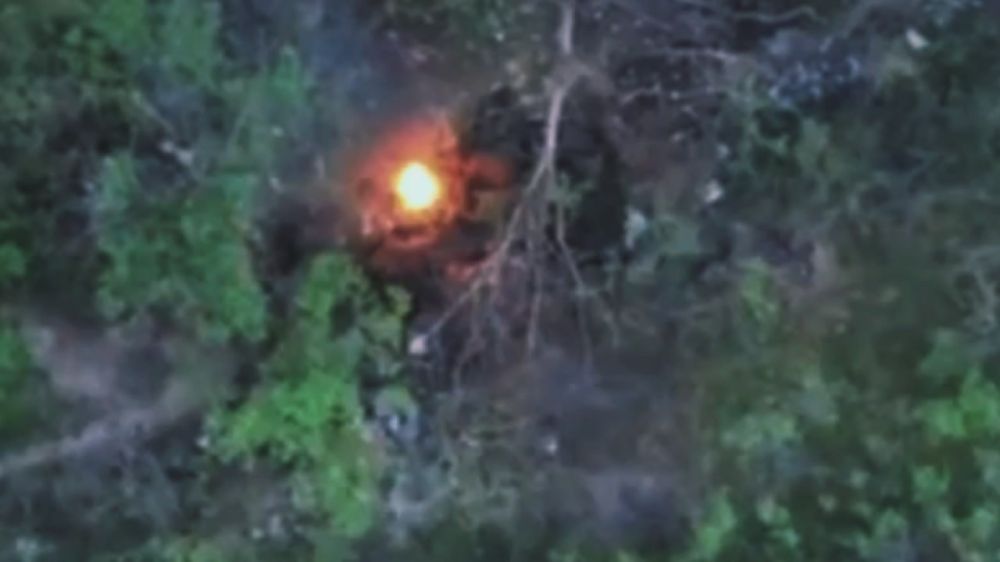 ��� ����������� ����������